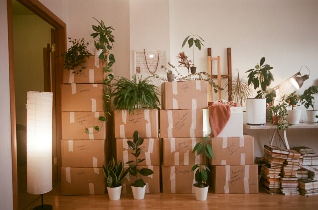 A stack of cardboard moving boxes labeled with handwritten notes sits among potted houseplants, capturing the spirit of relocation. A lamp, a table with more plants, and stacks of books complete the cozy, well-lit room scene.